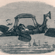 Illustration for article titled How an Apocalyptic Scifi Novel Imagined the Future 122 Years Ago
